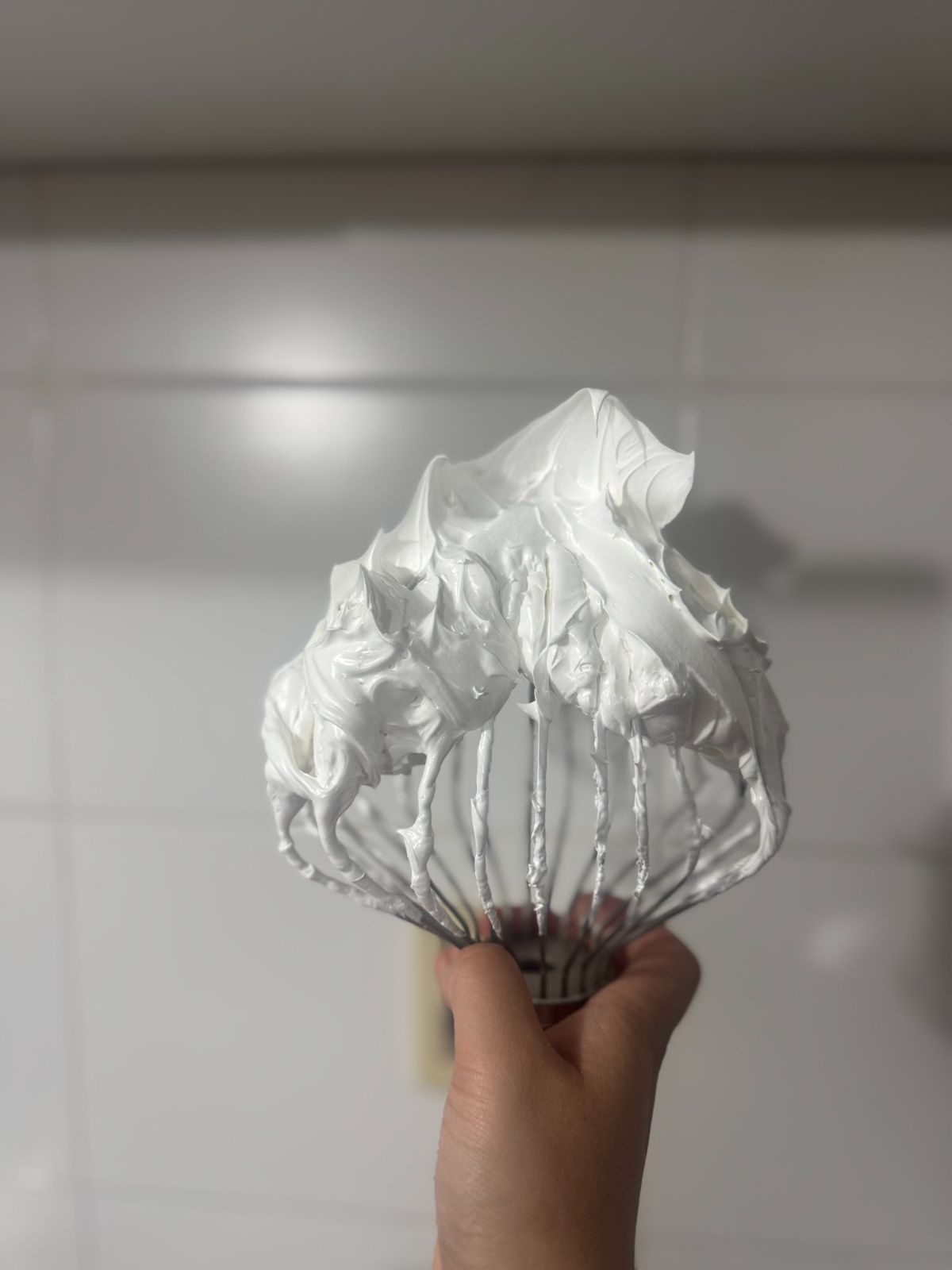 MERENGUE ITALIANO